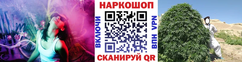 Сколько стоит Дмитриев ГЕРОИН  A PVP  mega   Меф мяу мяу  ГАШ  МАРИХУАНА  Псилоцибиновые грибы 