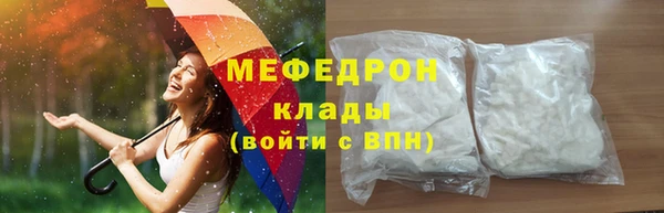 СК Алексин