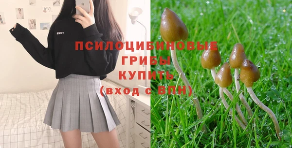 бутират Алексеевка