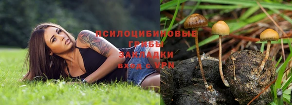 СК Алексин