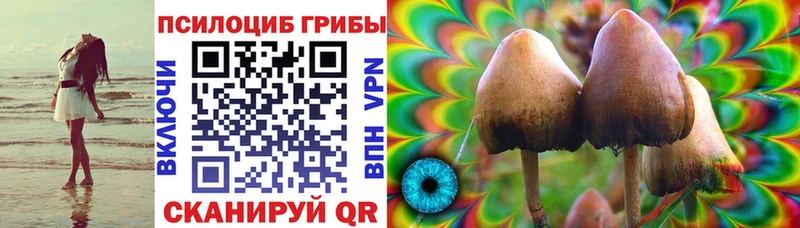 кракен как зайти  Дмитриев  Галлюциногенные грибы Psilocybine cubensis 